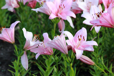 Similar image 11433673