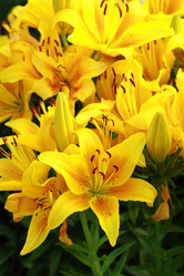 Similar image 11433684