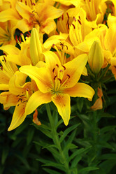 Similar image 11433685