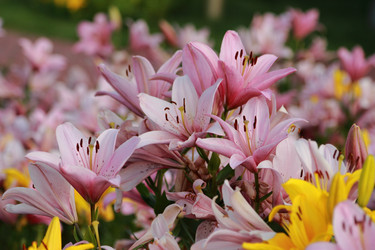 Similar image 11433686