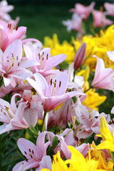 Similar image 11433691