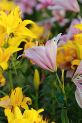 Similar image 11433692