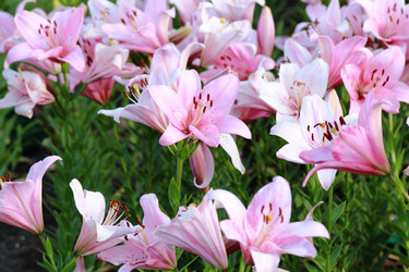 Similar image 11433710