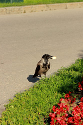 Similar image 11433711