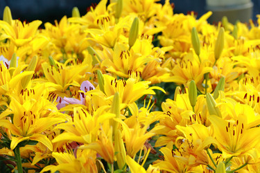 Similar image 11433713