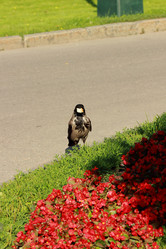 Similar image 11433727