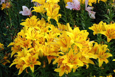 Similar image 11433728