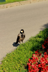 Similar image 11433729