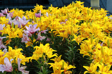 Similar image 11433730