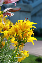 Similar image 11433733