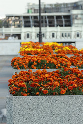 Similar image 11433787