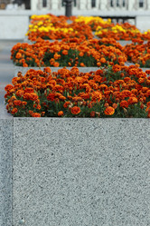 Similar image 11433808