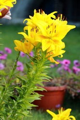 Similar image 11433832