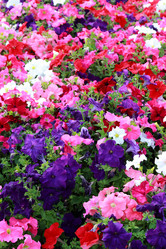 Similar image 11433845