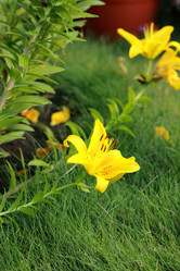 Similar image 11433846