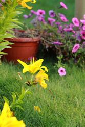 Similar image 11433849