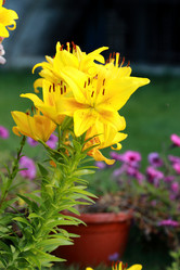 Similar image 11433870