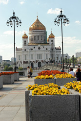 Similar image 11433875