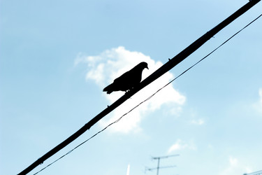 Similar image 11433374