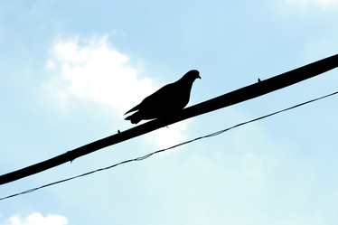 Similar image 11433375