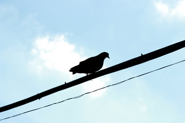 Similar image 11433376