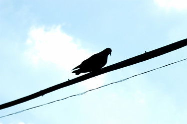 Similar image 11433377