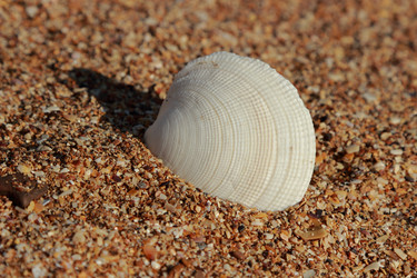 Similar image 11433443