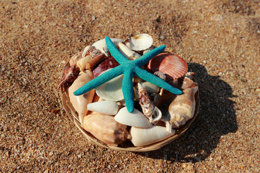 Similar image 11433444