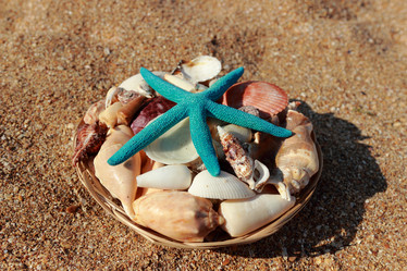 Similar image 11433445