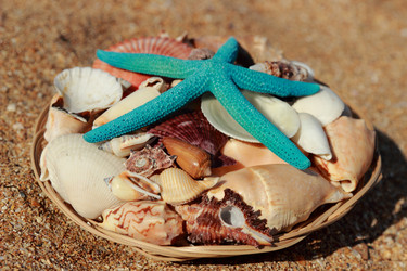 Similar image 11433456