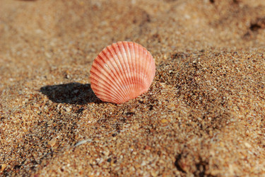 Similar image 11433462