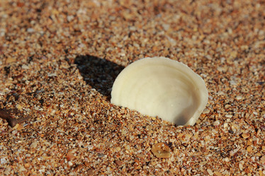 Similar image 11433465