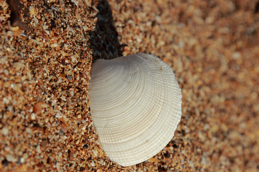 Similar image 11433478