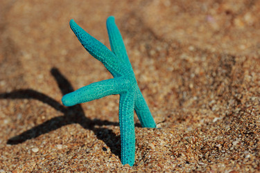 Similar image 11433479