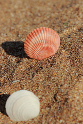 Similar image 11433482