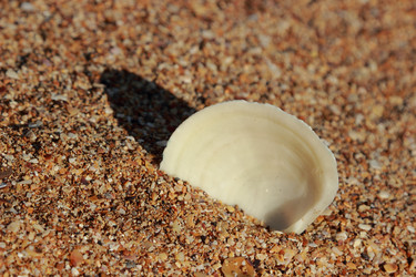 Similar image 11433499