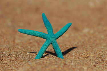 Similar image 11433500