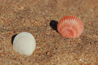 Similar image 11433501