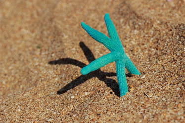 Similar image 11433503