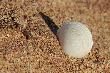 Similar image 11433504