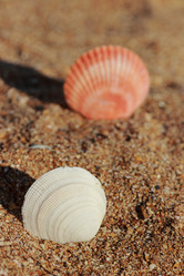 Similar image 11433521