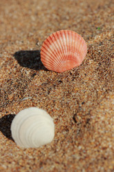 Similar image 11433522