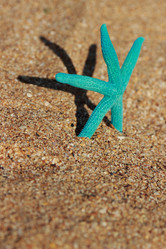 Similar image 11433524