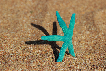 Similar image 11433525