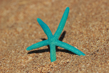 Similar image 11433619