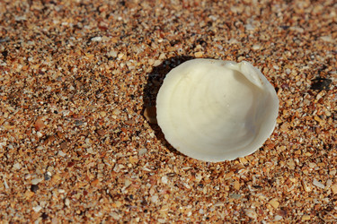 Similar image 11433620