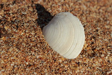 Similar image 11433621