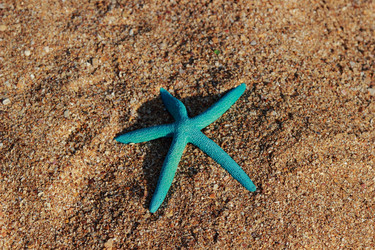 Similar image 11433622