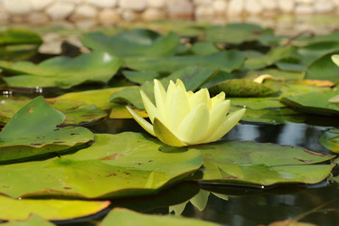 Similar image 11433483