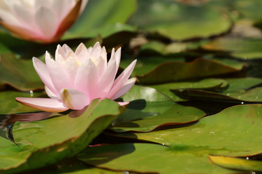 Similar image 11433424